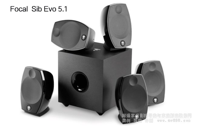 Focal Sib Evo 5.1װ