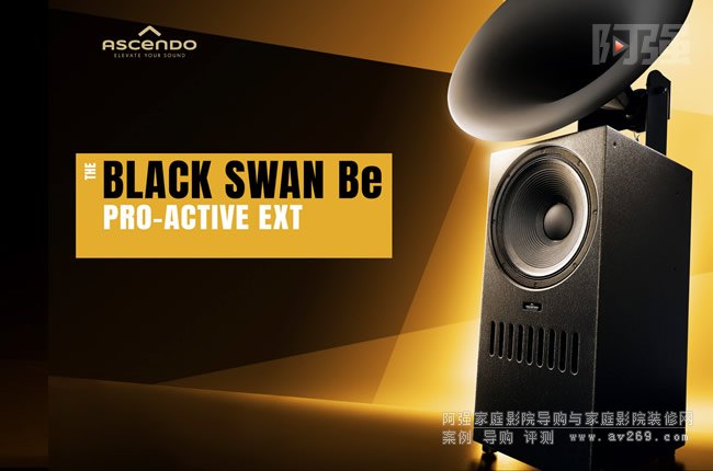 ˹THE BLACK SWAN Be ACTIVE EXT