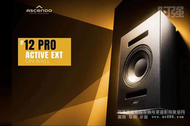 ˹Ascendo THE12 PRO ACTIVE EXT ON WALLڹǽʽ