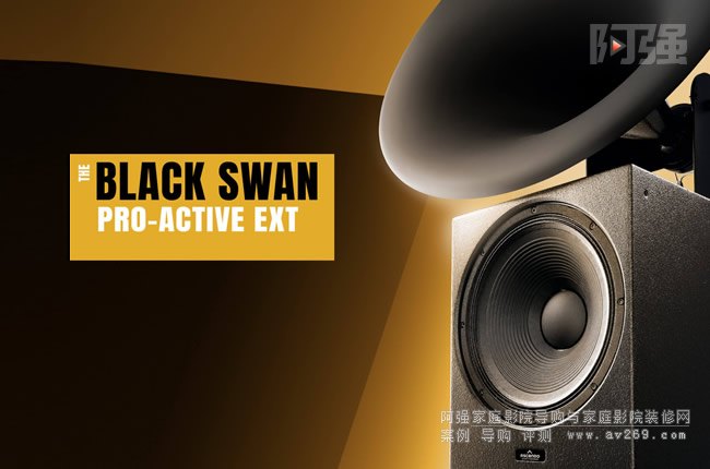 ˹AscendoŽTHE BLACK SWAN ACTIVE EXT