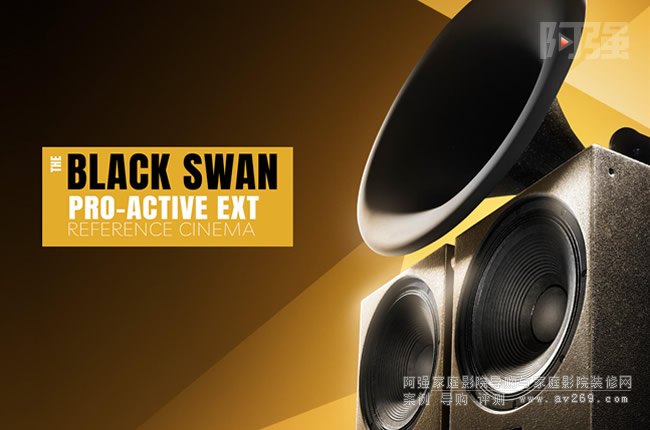 ˹콢ŽTHE BLACK SWAN ACTIVE EXT RC