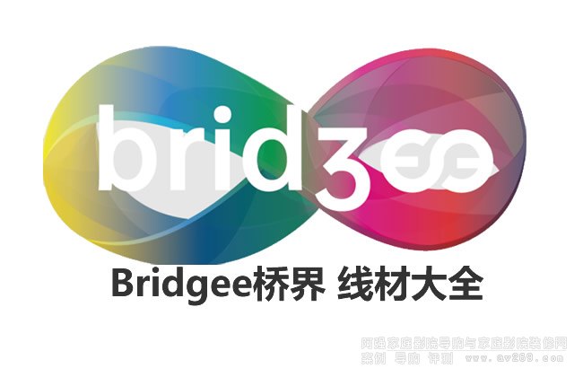 BridgeeŽƷ߲Ľ