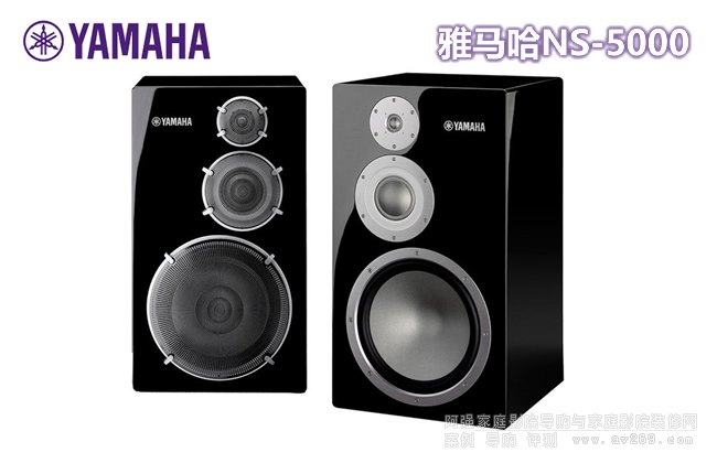 NS-5000 [콢Hi-Fi]