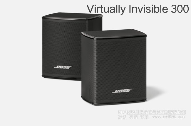 Bose VI300 ߻300550850