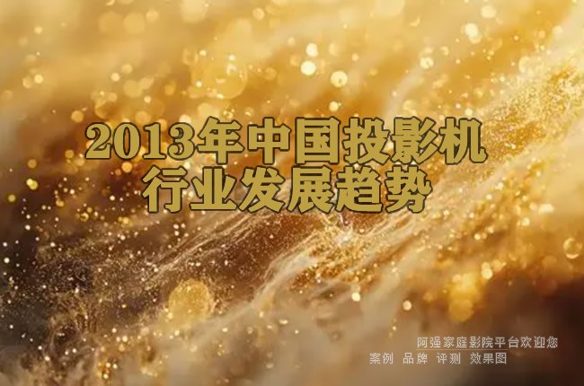 2013���й�ͶӰ����ҵ��չ����