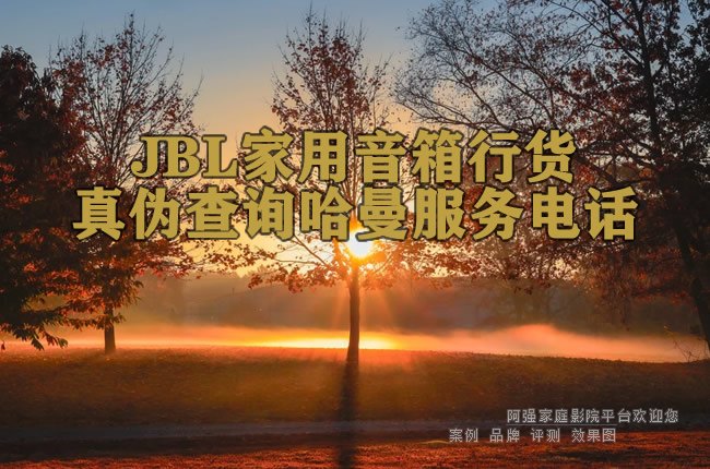 JBL���������л���α��ѯ��������绰