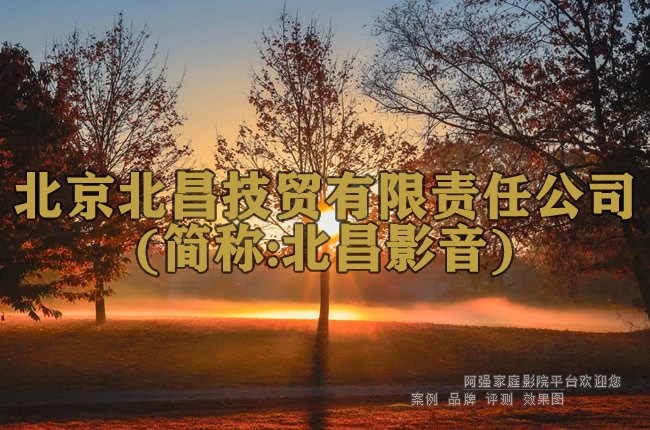 ����������ó�������ι�˾(���:����Ӱ��)