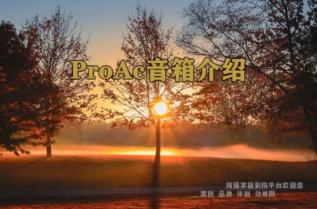 ProAc�������