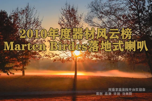 2010������ķ��ư�:Marten Birdes���ʽ����