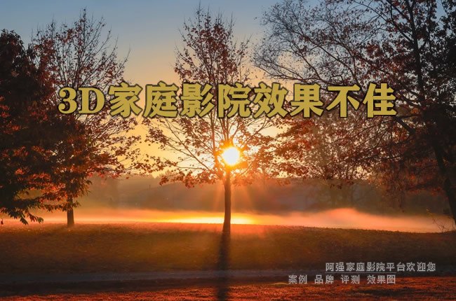 3D��ͥӰԺЧ������