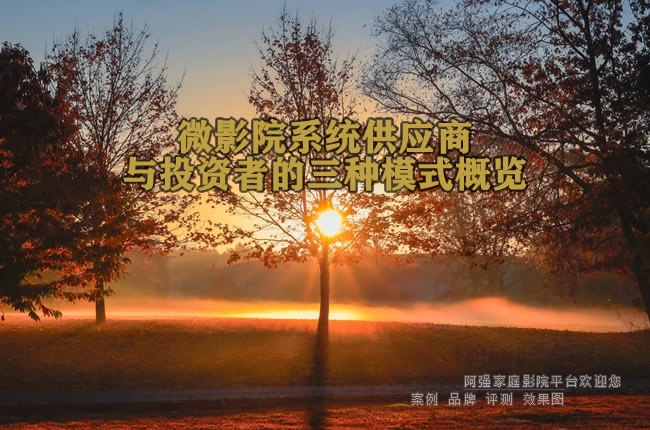 ΢ӰԺϵͳ��Ӧ����Ͷ���ߵ�����ģʽ����