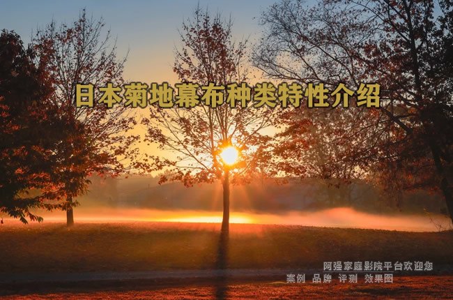 �ձ��յ�Ļ���������Խ���