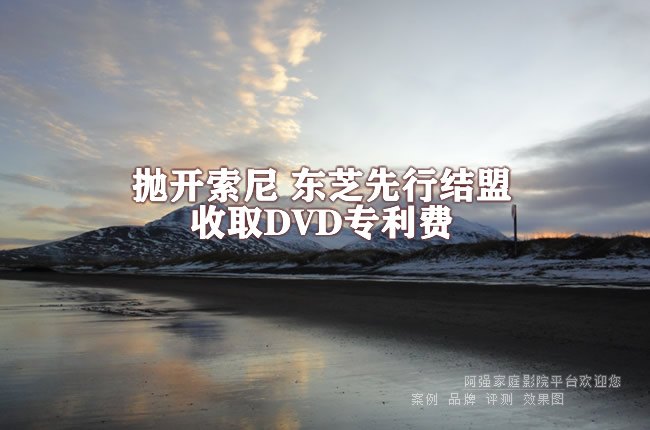 �׿����� ��֥���н�����ȡDVDר����