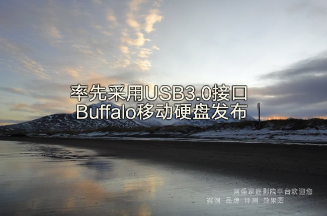 ���Ȳ���USB3.0�ӿ� Buffalo�ƶ�Ӳ�̷���
